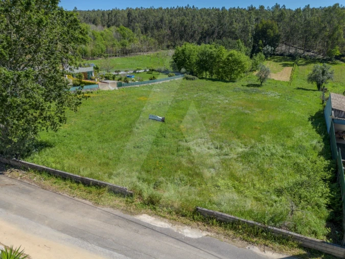 Terreno para Venda em Valongo do Vouga Foto 9