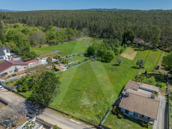 Terreno para Venda em Valongo do Vouga Foto 16