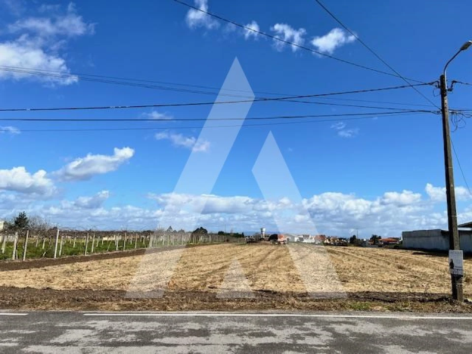 Terreno para Venda em São Bernardo Foto 2
