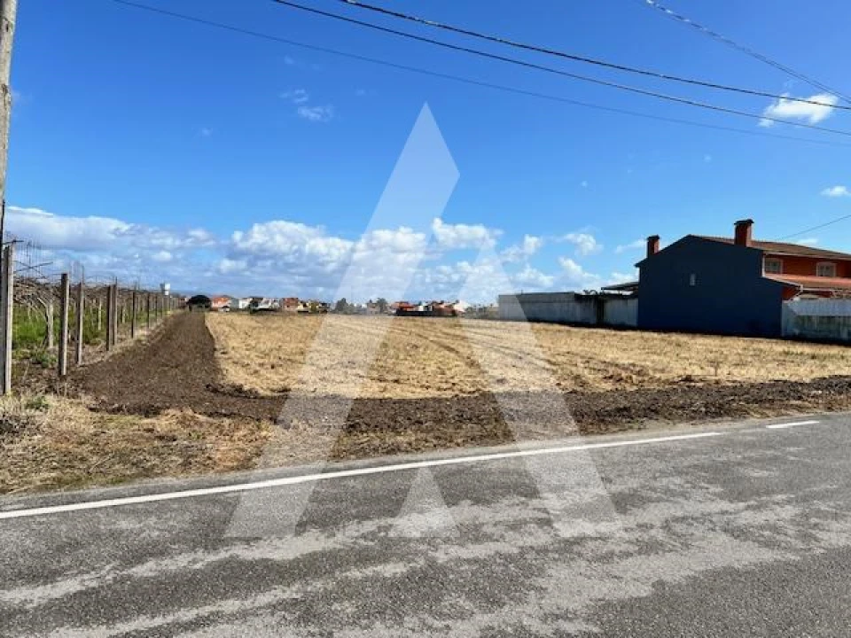 Terreno para Venda em São Bernardo Foto 3