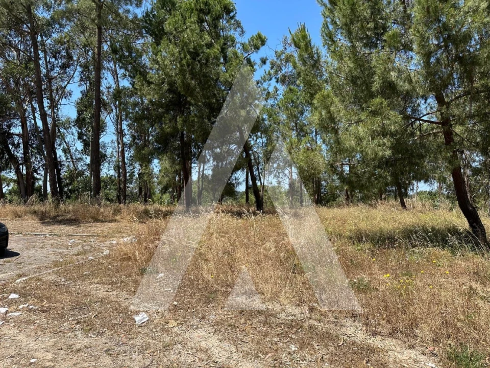 Terreno para Venda em Azeitão (São Lourenço e São Simão) Foto 2