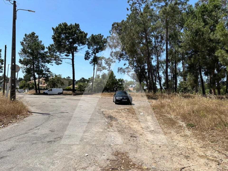 Terreno para Venda em Azeitão (São Lourenço e São Simão) Foto 4