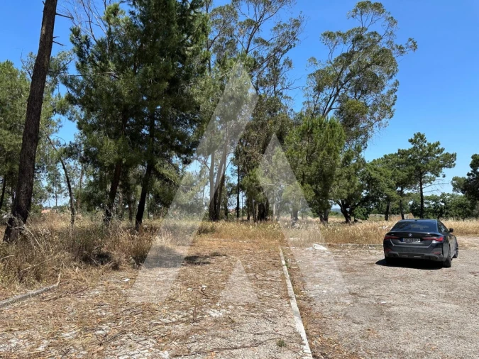 Terreno para Venda em Azeitão (São Lourenço e São Simão) Foto 3