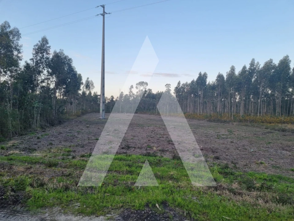 Terreno para Venda em Soza Foto 8