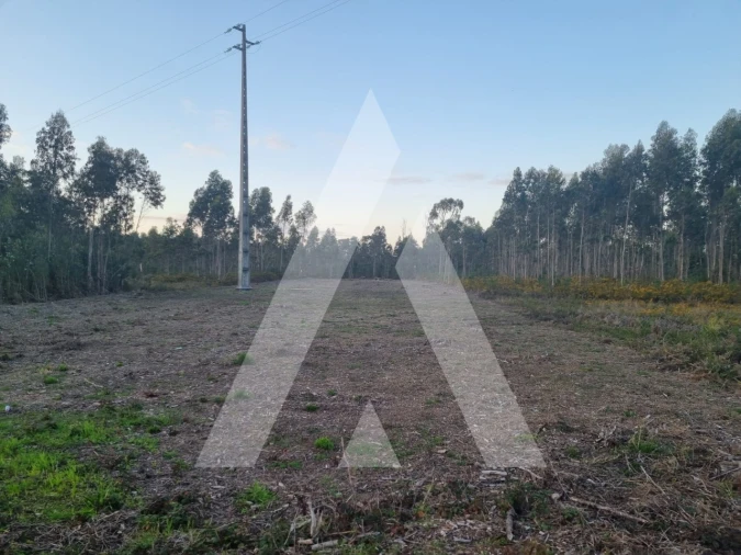 Terreno para Venda em Soza