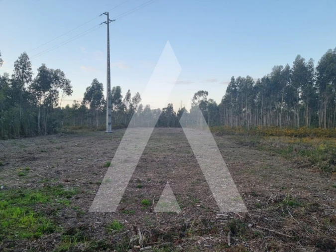 Terreno para Venda em Soza Foto 4