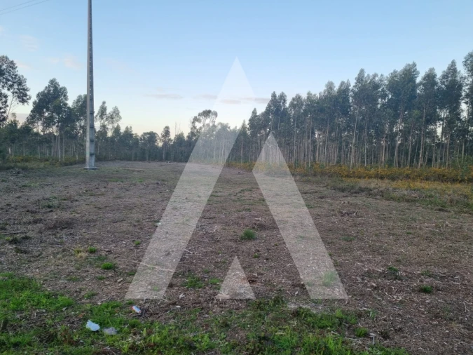 Terreno para Venda em Soza Foto 5