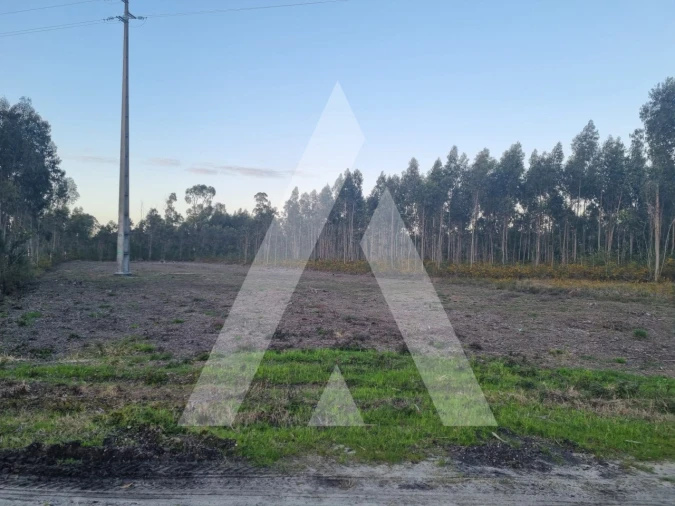 Terreno para Venda em Soza Foto 6