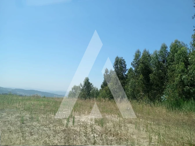 Terreno para Venda em Oldrões Foto 3