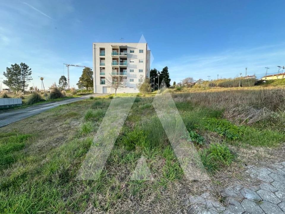 Terreno para Venda em Oliveira do Bairro Foto 5