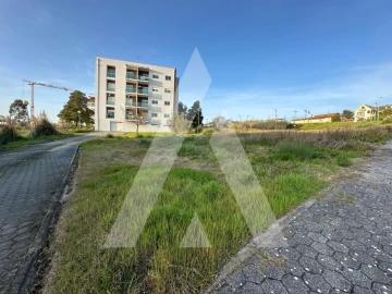Terreno para Venda em Oliveira do Bairro