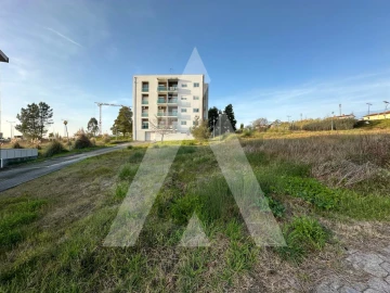 Terreno para Venda em Oliveira do Bairro