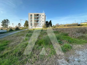 Terreno para Venda em Oliveira do Bairro