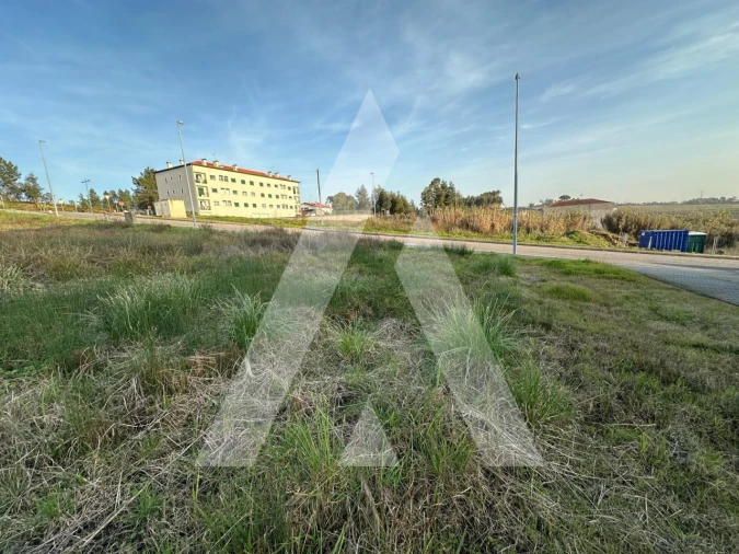 Terreno para Venda em Oliveira do Bairro Foto 4