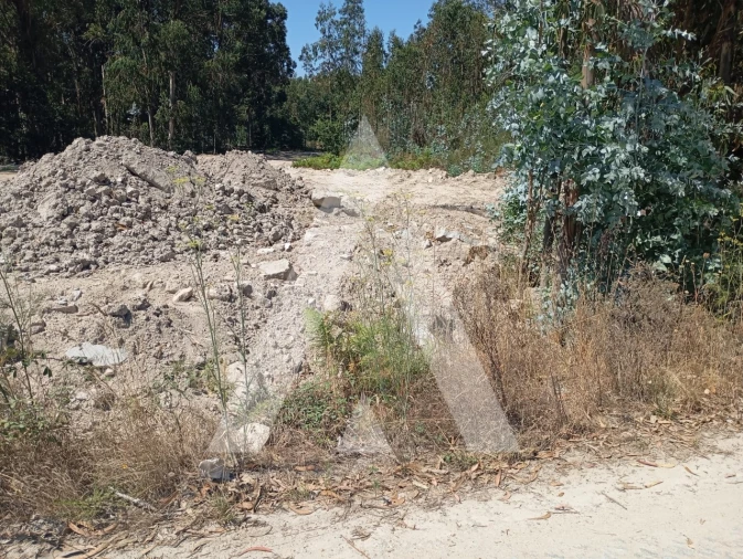 Terreno para Venda em Cabeça Santa Foto 3