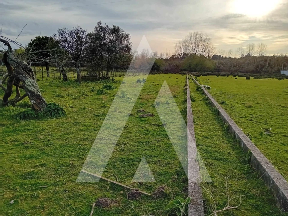 Terreno para Venda em São Lourenço do Bairro Foto 1