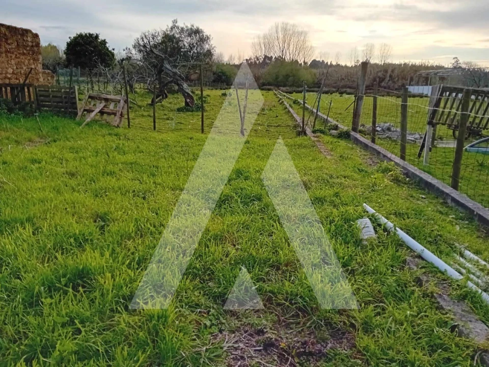 Terreno para Venda em São Lourenço do Bairro Foto 2