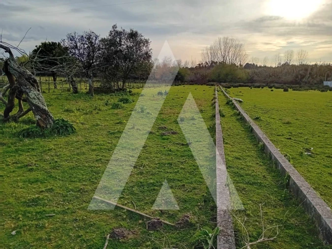 Terreno para Venda em São Lourenço do Bairro Foto 1