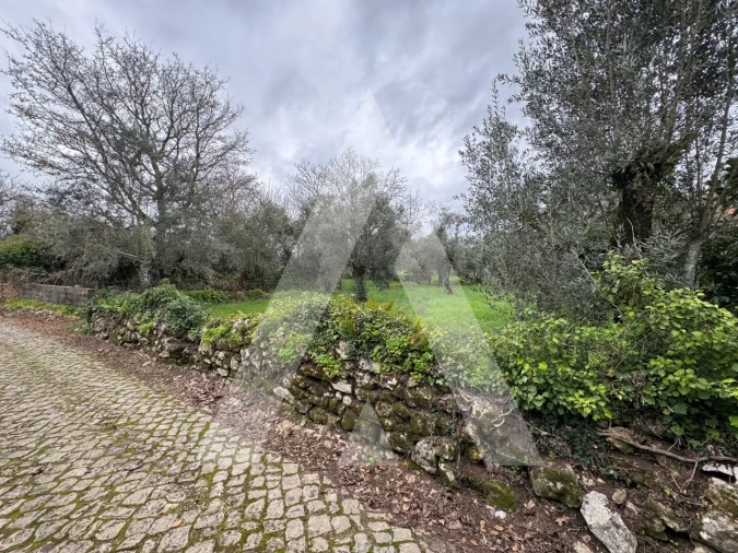 Terreno para Venda em Pussos São Pedro Foto 4