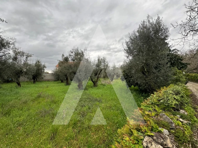 Terreno para Venda em Pussos São Pedro Foto 8