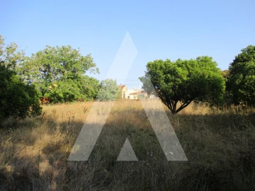Terreno para Venda em Oliveira do Bairro