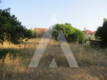 Terreno para Venda em Oliveira do Bairro