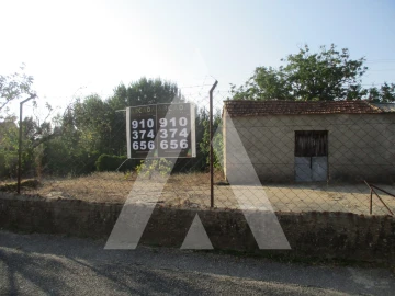Terreno para Venda em Oliveira do Bairro
