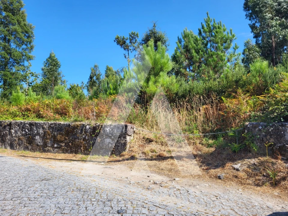 Terreno para Venda em Forjães Foto 23
