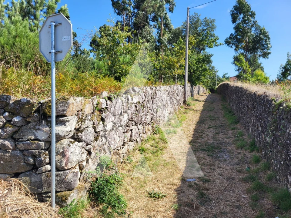 Terreno para Venda em Forjães Foto 21