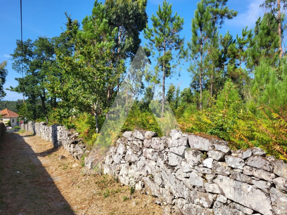Terreno para Venda em Forjães Foto 22