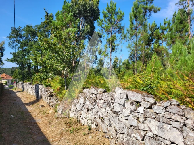Terreno para Venda em Forjães Foto 22
