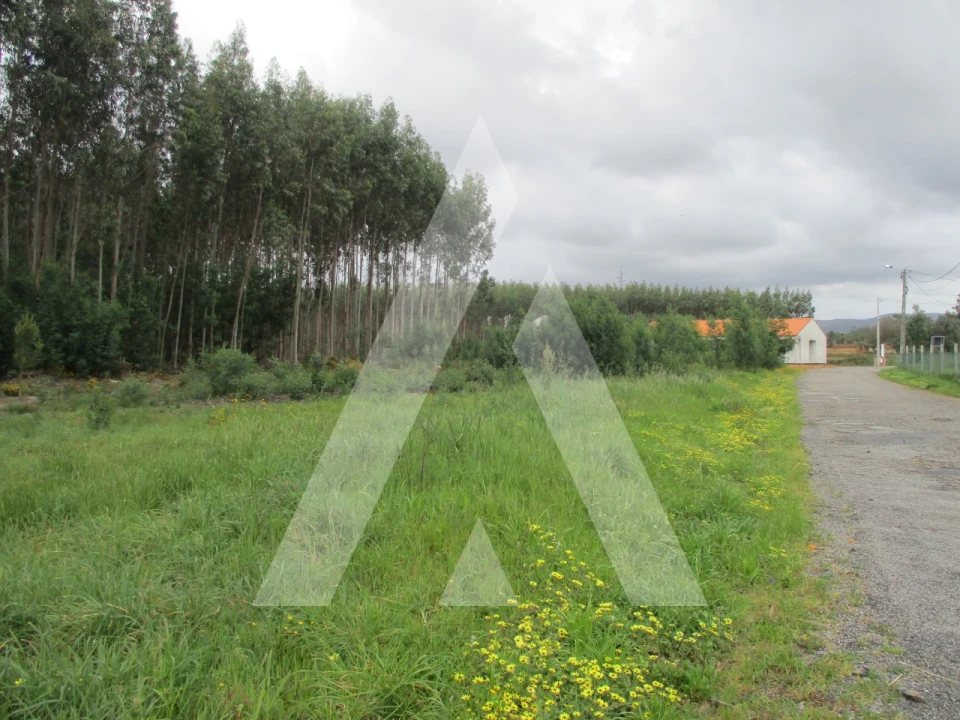 Terreno para Venda em Águeda e Borralha Foto 1