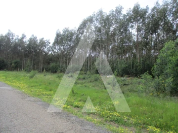 Terreno para Venda em Águeda e Borralha