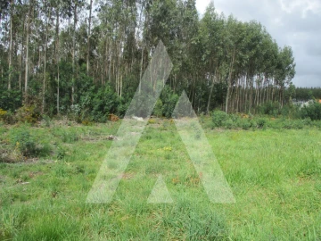 Terreno para Venda em Águeda e Borralha