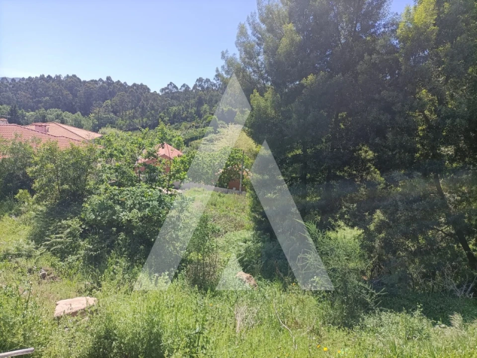 Terreno para Venda em Paredes Foto 6