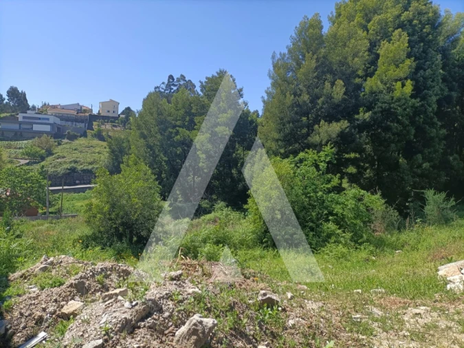 Terreno para Venda em Paredes Foto 3