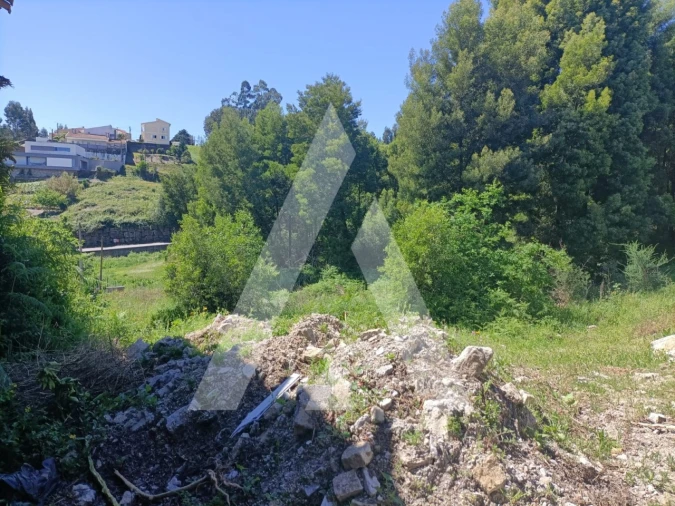 Terreno para Venda em Paredes Foto 5