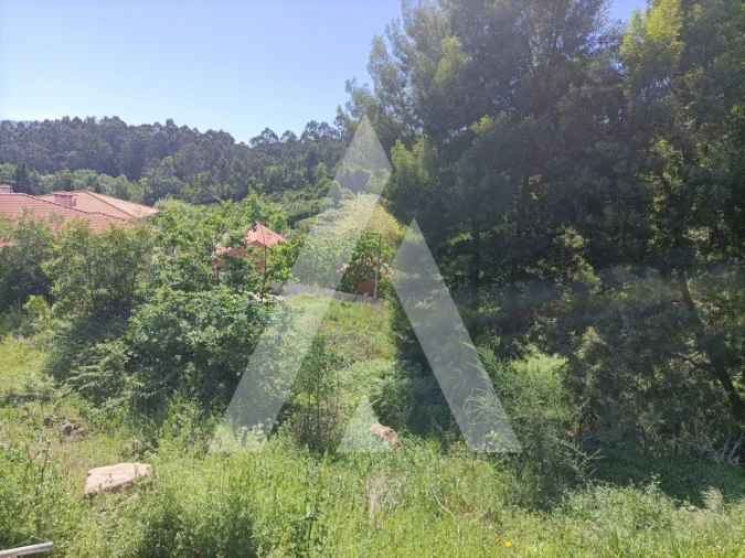 Terreno para Venda em Paredes Foto 6