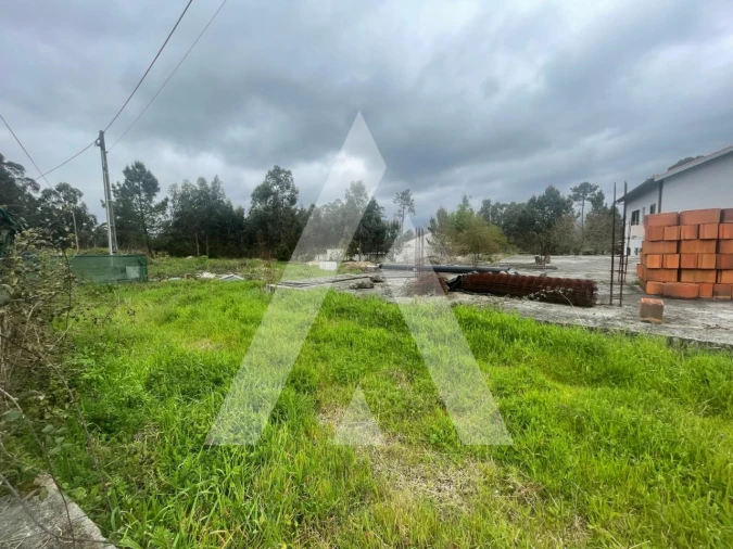 Terreno para Venda em Vitorino das Donas Foto 3