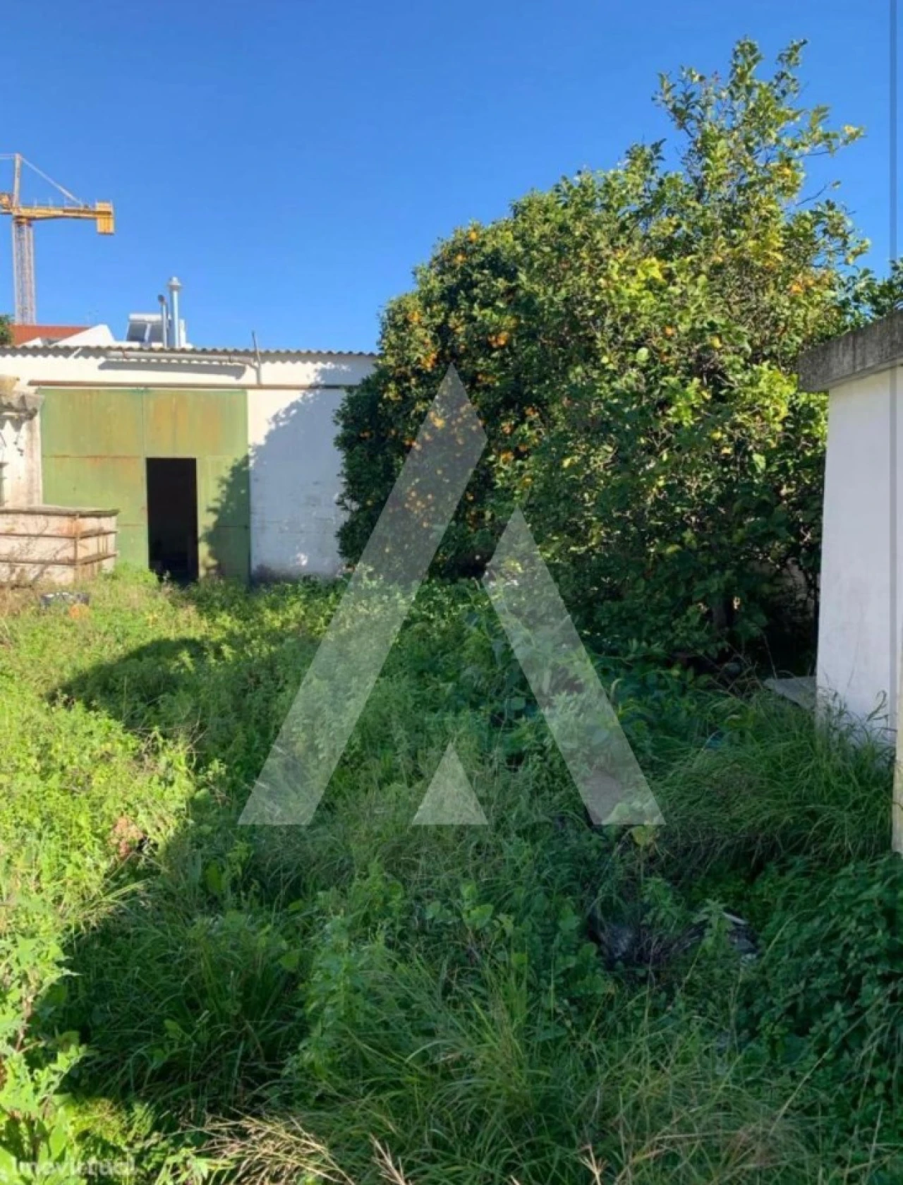 Terreno para Venda em Montijo e Afonsoeiro Foto 5