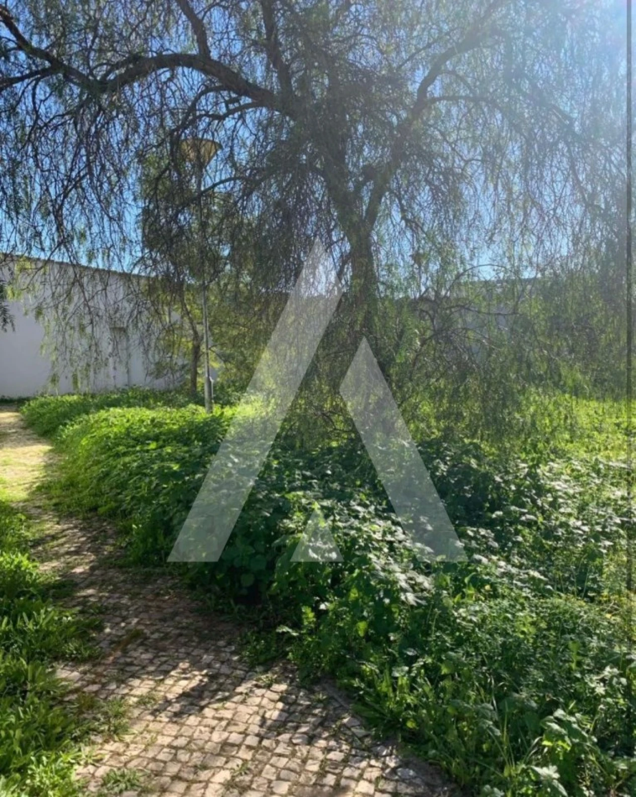 Terreno para Venda em Montijo e Afonsoeiro Foto 10