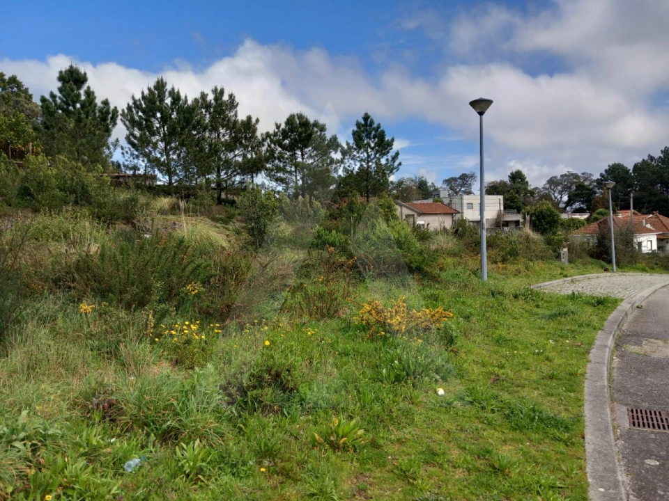 Terreno para Venda em Mozelos Foto 2