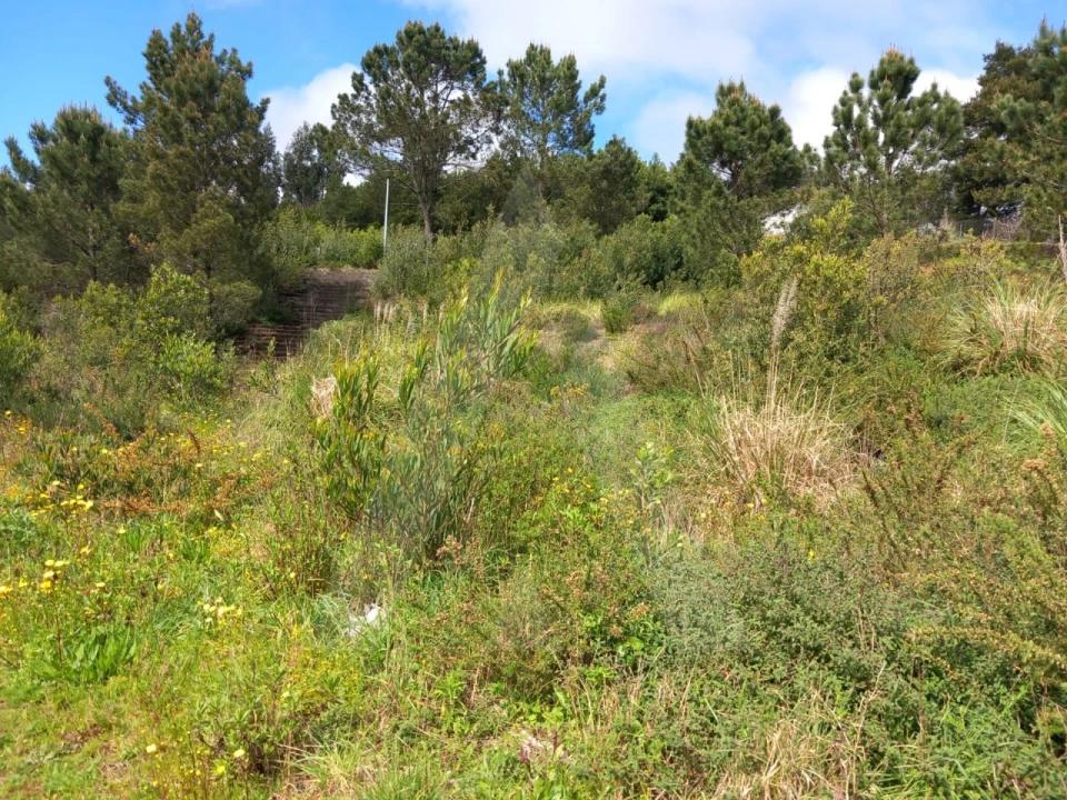 Terreno para Venda em Mozelos Foto 7