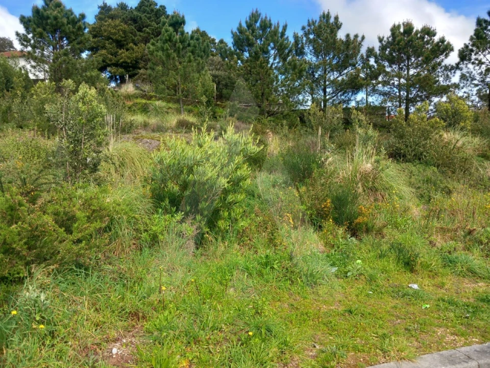 Terreno para Venda em Mozelos Foto 9