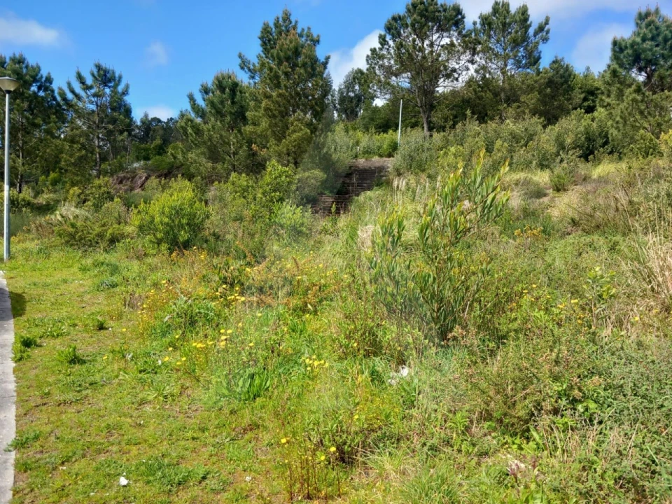 Terreno para Venda em Mozelos Foto 10