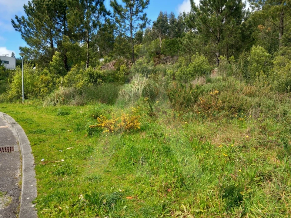 Terreno para Venda em Mozelos Foto 12