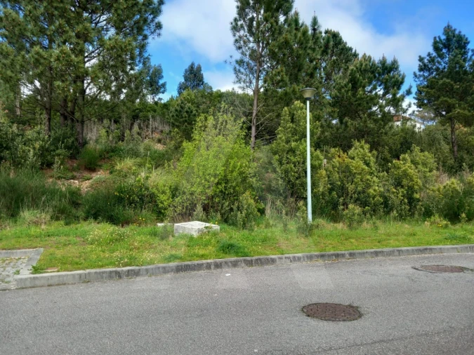 Terreno para Venda em Mozelos