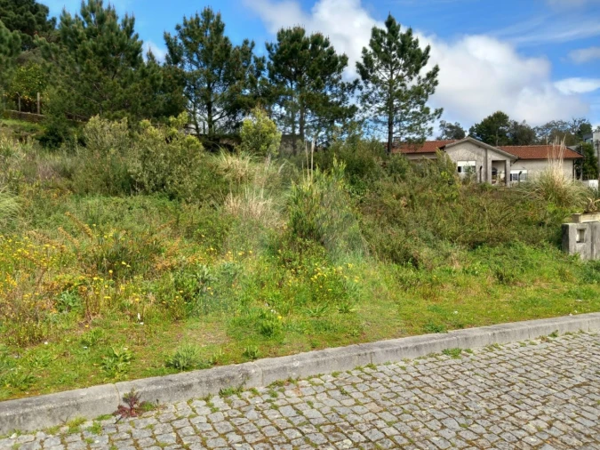 Terreno para Venda em Mozelos Foto 3