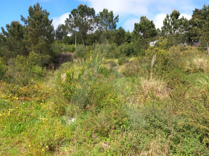 Terreno para Venda em Mozelos Foto 7
