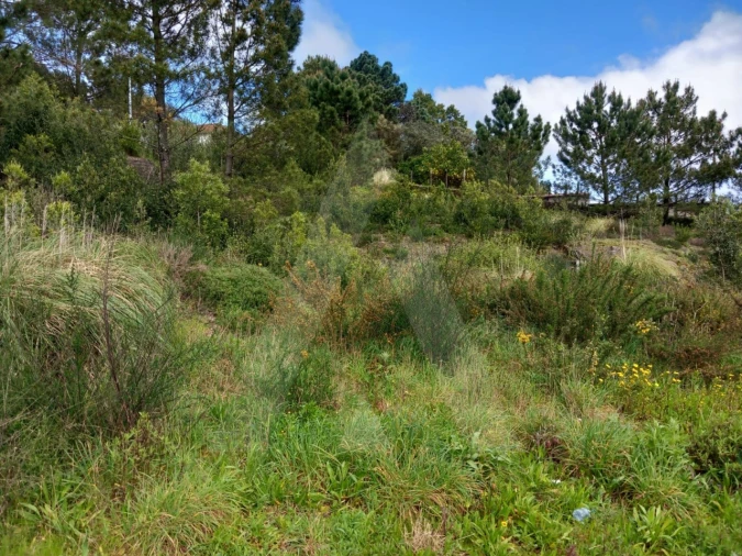 Terreno para Venda em Mozelos Foto 8